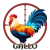 Gallo