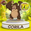 Gorila