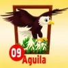 Aguila